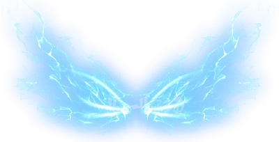 Lôi Quang Phi Vũ (Hoang Vực)